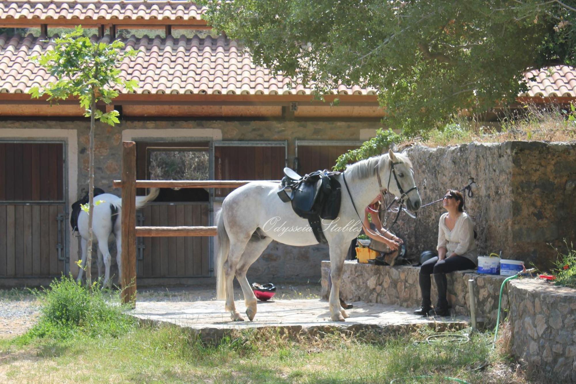 Avdou Country Hotel Velani מראה חיצוני תמונה